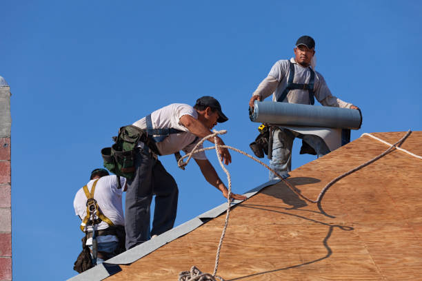 Best Roof Waterproofing Services  in New Port Richey, FL