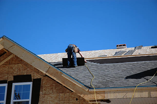 Best Metal Roofing Contractor  in New Port Richey, FL
