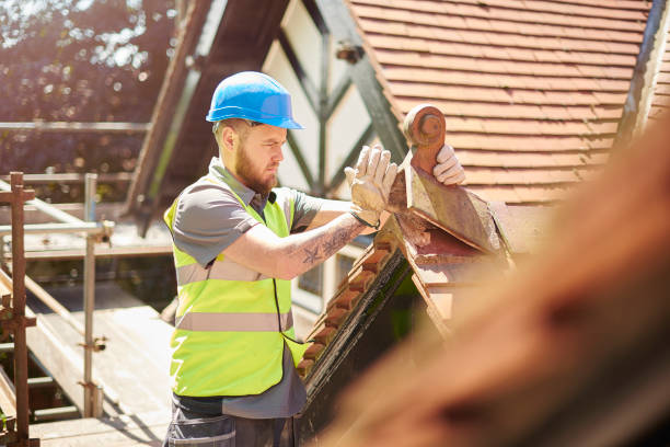 Best Roofing Contractor Near Me  in New Port Richey, FL