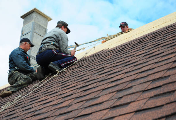 Best Roof Gutter Cleaning  in New Port Richey, FL